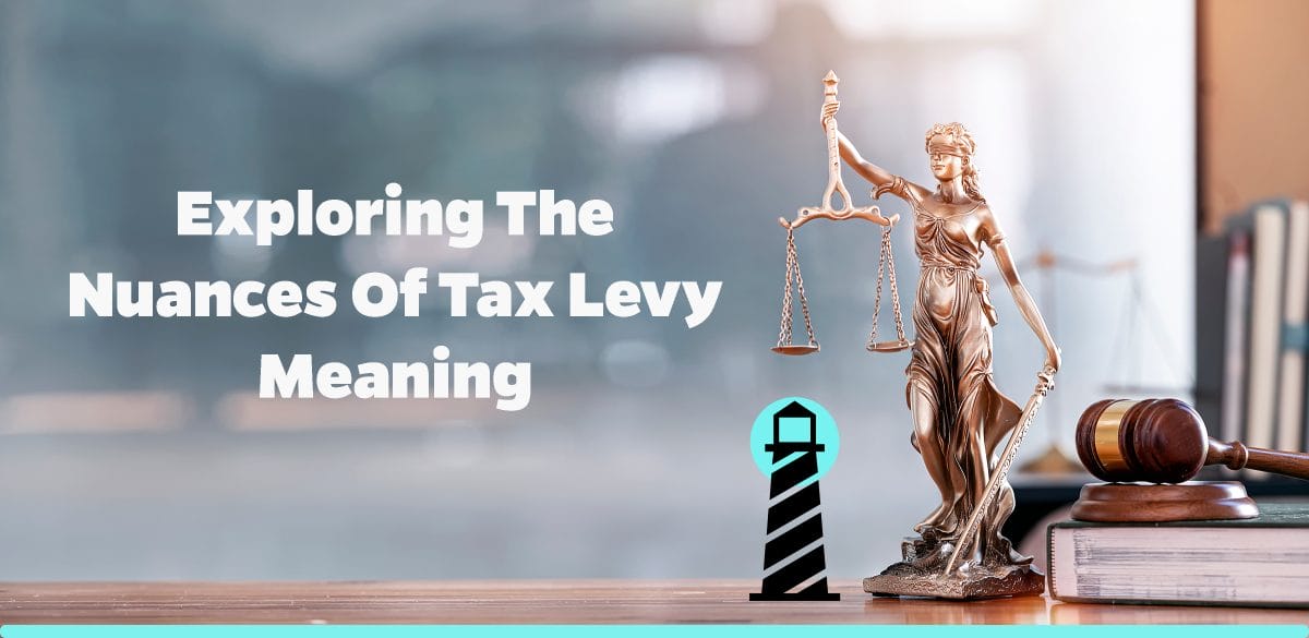 Exploring the Nuances of Tax Levy Meaning